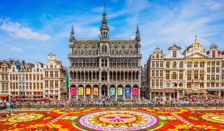 Brüssel mit Blumenteppich