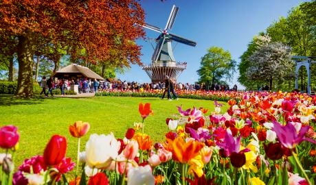 Holland – Tulpenmeer und Grachtenzauber
