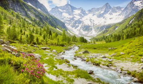 Ab ins Zillertal – aussichtsreiches Alpenland