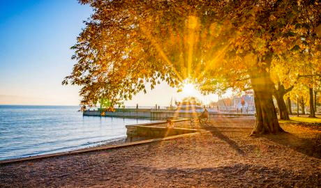 Goldener Herbst am Bodensee