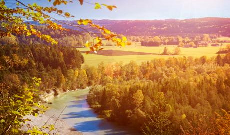Goldener Herbst im Bayerischen Wald
