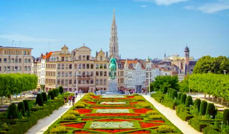 Bezaubernder Blumenteppich in Brüssel